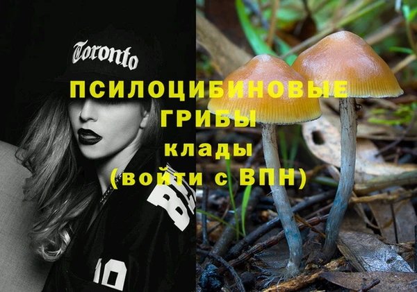 мескалин Покачи