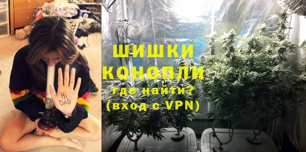 индика Покров