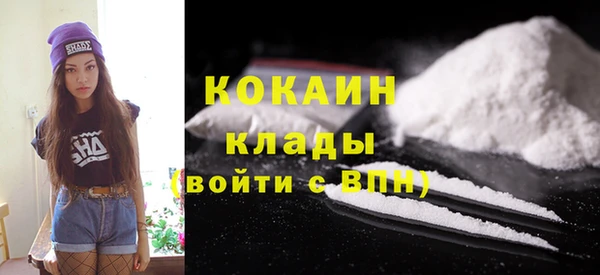 индика Покров