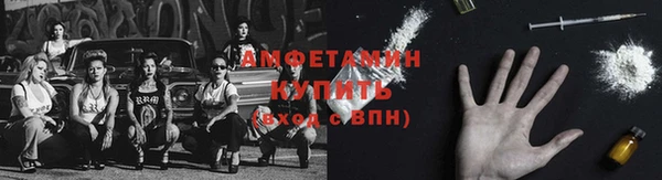 индика Воткинск