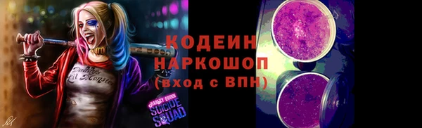 индика Покров