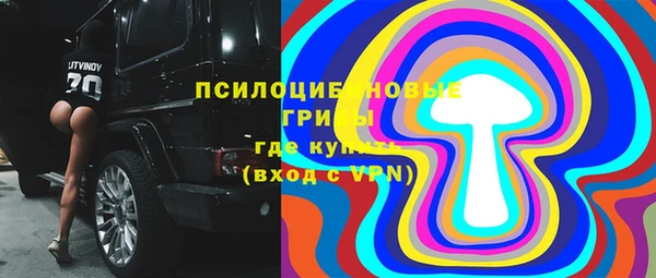индика Покров